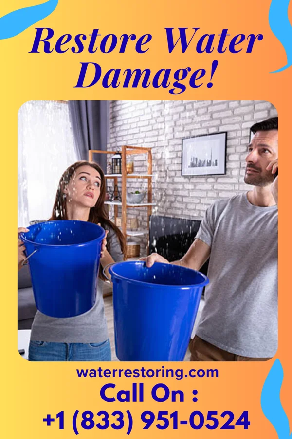 water restoration Falcon Mitigation Experts Oakland