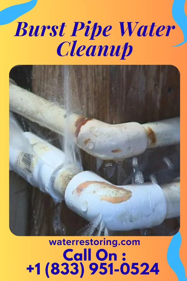 Burst Pipe Water Cleanup in Oakland, KY