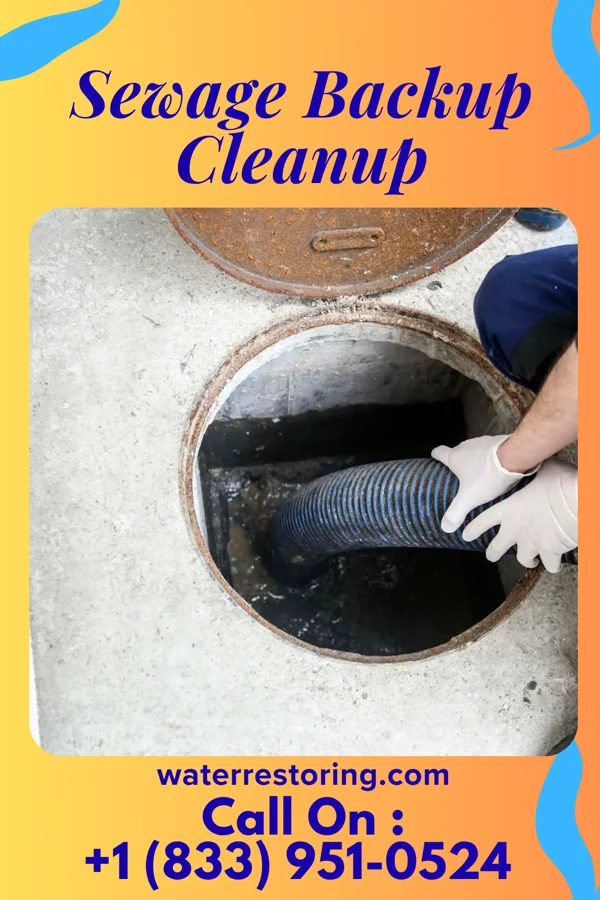 Sewage Backup Cleanup in Oakland, KY