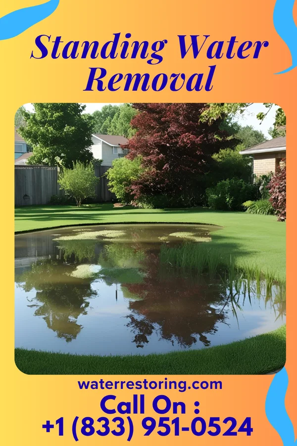 Standing Water Removal in Oakland, KY